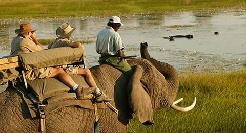 Botswana Ends Covid Testing for Vaccinated Travelers