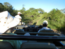 Open Safari Vehicles vs. Closed Safari Vehicles