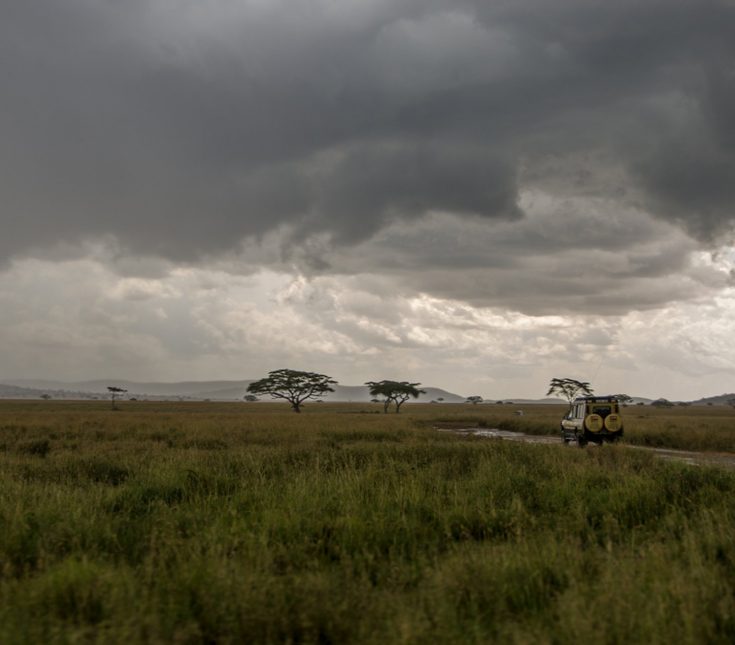 Tanzania / Kenya Safari – Should I Travel During Rainy Season to Save Money?