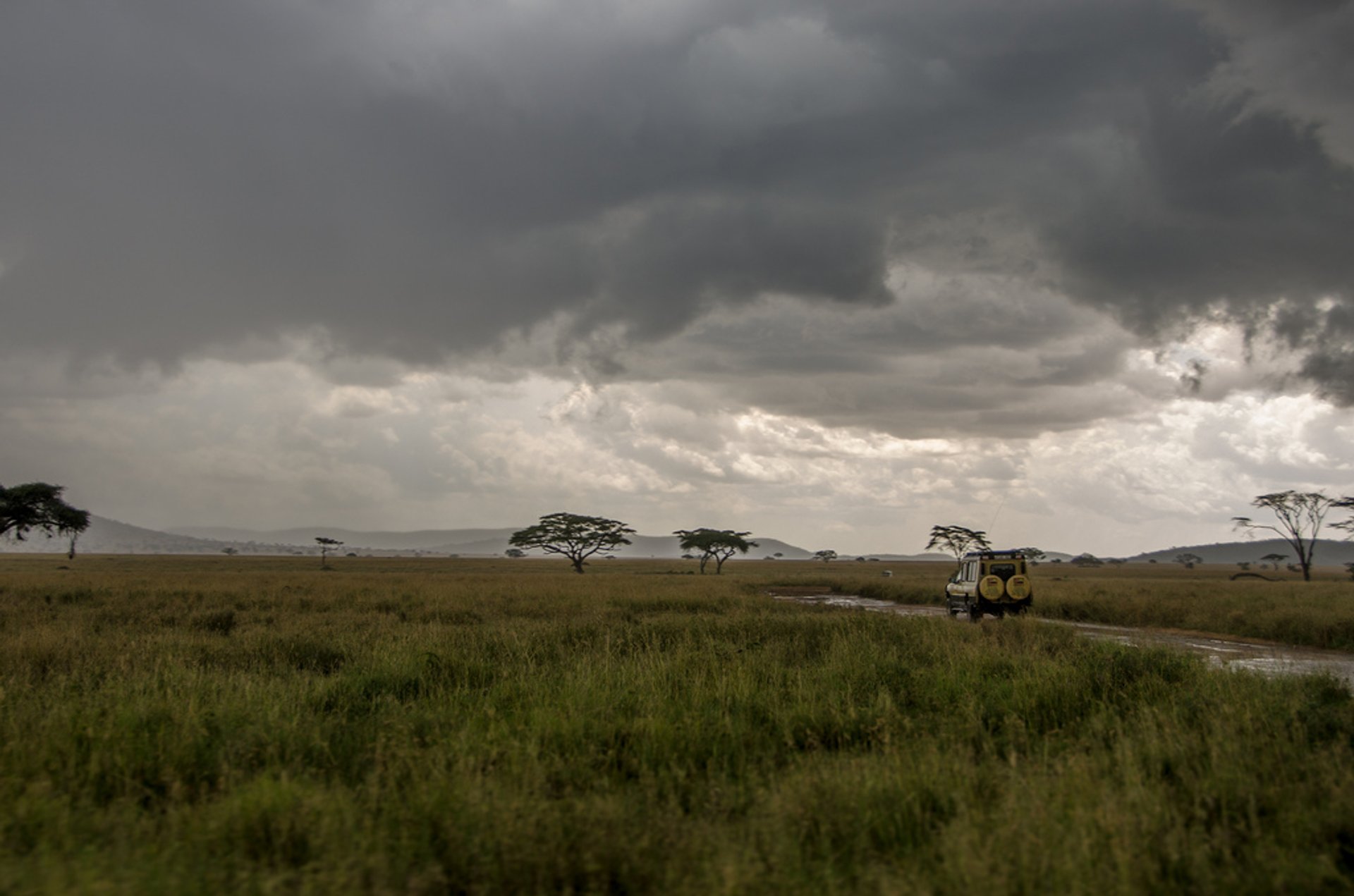 Tanzania / Kenya Safari – Should I Travel During Rainy Season to Save  Money?